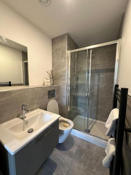 Stylish Free Parking & Gym Apartment